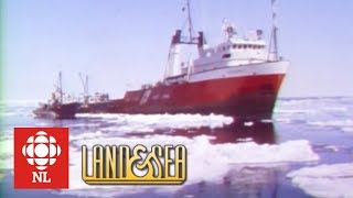 Land amp Sea A rescue aboard the icebreaker The Grenfell [upl. by Aihcropal254]