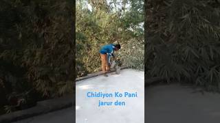 💥😂Pyase Ko Pani jarur pilaenkhesarilalyadavsuperhit song 🥰 subscribe Karen [upl. by Benji]