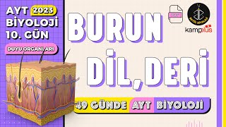 10 Burun Dil Deri  Duyu Organları 11 Sınıf  YKS 2023  AYT Biyoloji Kampı 10 Gün [upl. by Alam]