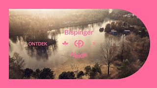 Center Parcs Bispinger Heide  Actie wellness natuur en stedentrips [upl. by Kalk311]