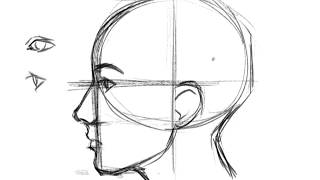 How to Draw a Face Profile [upl. by Hulbard285]