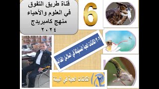 الكائنات المستهلكة علوم الصف السادس 20242025 [upl. by Hairom]