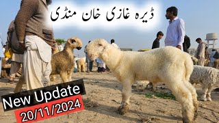 Dera ghazi khan goat market new Update today  dera ghazi khan mundra mandi  ismail goat farm [upl. by Steel714]