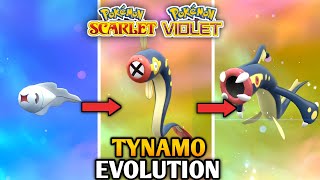 How To Evolve Tyanamo Into Eelektrik And Eelektross In Pokemon Scarlet And Violet  Paldea Pokedex [upl. by Ahsil]