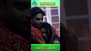 Vaseegara Video Song  Minnale Movie Songs  Madhavan  Reema Sen  Harris Jayaraj  YTShorts [upl. by Cimah281]