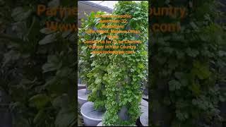 Be A Chennal Patner with Us in Your Country for aerotower verticaltower garden [upl. by Hewie]