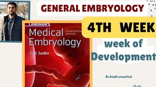 Embryonic Folding  4th WEEK OF DEVELOPMENT  EMBRYOLOGY [upl. by Nosiaj644]