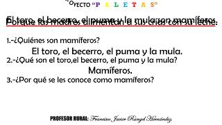 PRACTICA COMPRENSIÓN LECTORA 19 PROYECTO quotPALETASquot [upl. by Ellekim]