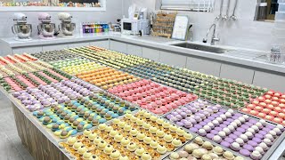 Making 2000 Perfect Macaron Shells in bulk by myself amp Filling [upl. by Yebot483]