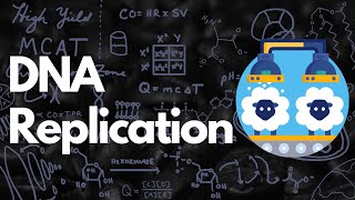 DNA Replication  Practice Problem  MCAT [upl. by Acinorev]