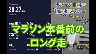 マラソン本番前の30km走に挑戦 [upl. by Genvieve]