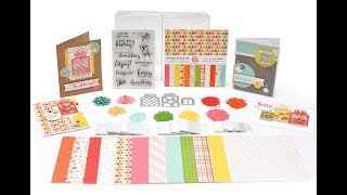 Easy Shaker Card Cards with the Queen amp Co Pretty Presents Card Kit [upl. by Goldfinch]