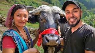 I Gifted 800 Buffalo to Nepals Kindest Family🇳🇵emotional [upl. by Acemahs]