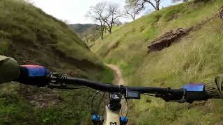 Del Valle Regional Park mountain bike trail [upl. by Swarts]