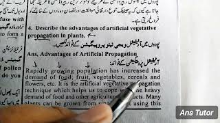 Artificial Vegetative Propagation in Plants  Whats the Most Effective Way of Plants Reproduction [upl. by Heinrich]