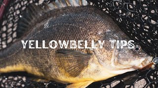 5 tips for more Yellowbelly this Spring [upl. by Ia112]