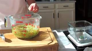 How to triple the sulforaphane content in broccoli sprouts [upl. by Adnilemre]