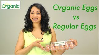 Organic Eggs vs Regular Eggs [upl. by Miche859]