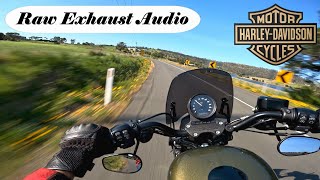 Epic Harley Davidson Exhaust Audio Growling Iron 883 with Vance amp Hines Pipes [upl. by Aldo937]