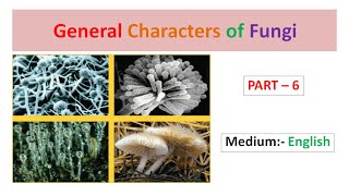 General Characters of Fungi Part6 English [upl. by Eeldarb]