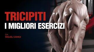 🥇 Routine GRANDI TRICIPITI in PALESTRA [upl. by Zoeller]