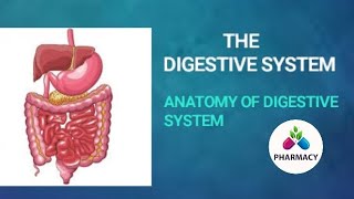 Anatomy and physiology of digestive system in hindi [upl. by Yelir683]