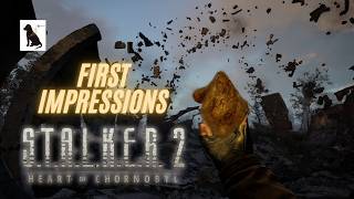 STALKER 2 Heart Of Chernobyl First Impressions No Spoilers [upl. by Tomlinson]