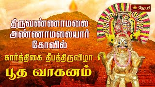 திருவண்ணாமலை ஸ்ரீஅருணாசலேஸ்வரர் திருக்கோவில் – கார்த்திகை தீப விழா – பூத வாகனம்  Jothitv [upl. by Krute824]