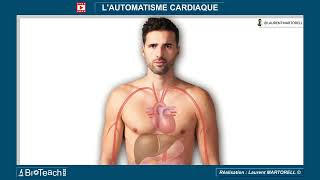 Lautomatisme cardiaque  les 30 premières secondes preview avantpremiere [upl. by Hazeghi]