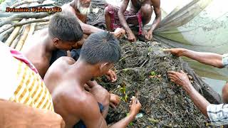 Fishing From River। Catch A Lot of Fish। Fresh Mixed Fish catching [upl. by Notsnorb342]