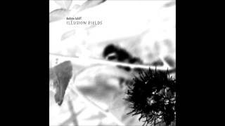 Andrew Lahiff  Illusion Fields Full Album [upl. by Aviva]