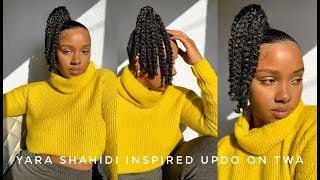 Yara Shahidi Inspired Braided UpDo on TWA [upl. by Acirfa]