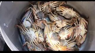 Recipe boiling Crab to good tasty របៀបស្ងោរក្តាម រសជាតិឆ្ងាញ់ដៃជើងនៅល្អមិនអន់សាច់ foodamphealth F49 [upl. by Shanly]