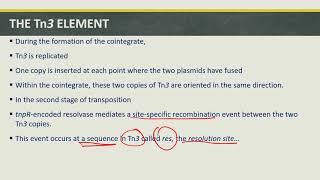 TRANSPOSITION PARTVII TN3 TRANSPOSON [upl. by Euqinobe]