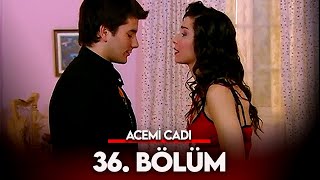 Acemi Cadı 36 Bölüm [upl. by Emmerie]