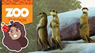 Mischievous Meerkats 🦁 Zoo Tycoon Ultimate Animal Collection • 10 [upl. by Lleuqram403]