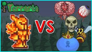 Terraria  Solar Flare Armor vs PreHardmode Bosses no weapons  Biron [upl. by Pate]