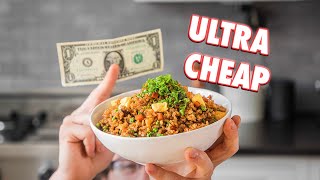 1 Dollar Fried Rice  But Cheaper [upl. by Ferde]