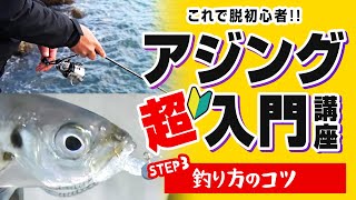 【アジング】釣り方のコツ。アジングのコツ教えます。入門講座③ [upl. by Neruat]