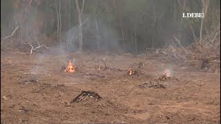 🌳⚠️ Más de 500 hornos de carbón ponen en peligro el bosque de San Rafael [upl. by Duffy347]