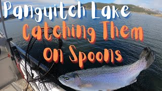 Exciting Trout Fishing at Panguitch Lake [upl. by Lertnahs]