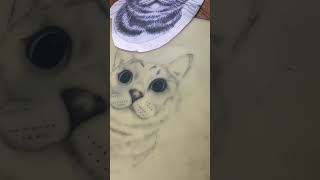 Cat Tattoo on fake skin How To Start Tattooing For Beginners [upl. by Braca]