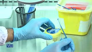 Culturing of Bacteria on Solid Medium  Microbiology Practical  MIC501PTopic009 [upl. by Allard]