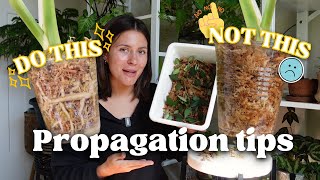 Propagation tips for maximum success [upl. by Phonsa]