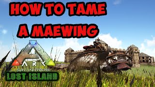 ARK SURVIVAL EVOLVED HOW TO TAME A MAEWING ON THE LOST ISLAND [upl. by Asyle595]