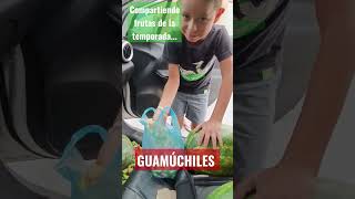 Compartiendo frutas de la temporada guamúchiles cotidiano399 [upl. by Fredericka433]