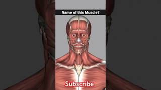 orbicularis oculi  orbicularis oculi muscle anatomy foryou shorts [upl. by Kroll]