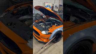 Turbo mustang dyno cars cartok turbo mustang f80 bmw f82 [upl. by Enimsay]