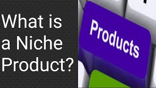 What is a Niche Product Explained With Details [upl. by Dodi]