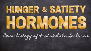 Hormones of Hunger and Satiety  Part 10 Neurobiology of Food Intake  Macronutrients Lecture 46 [upl. by Nanahs]